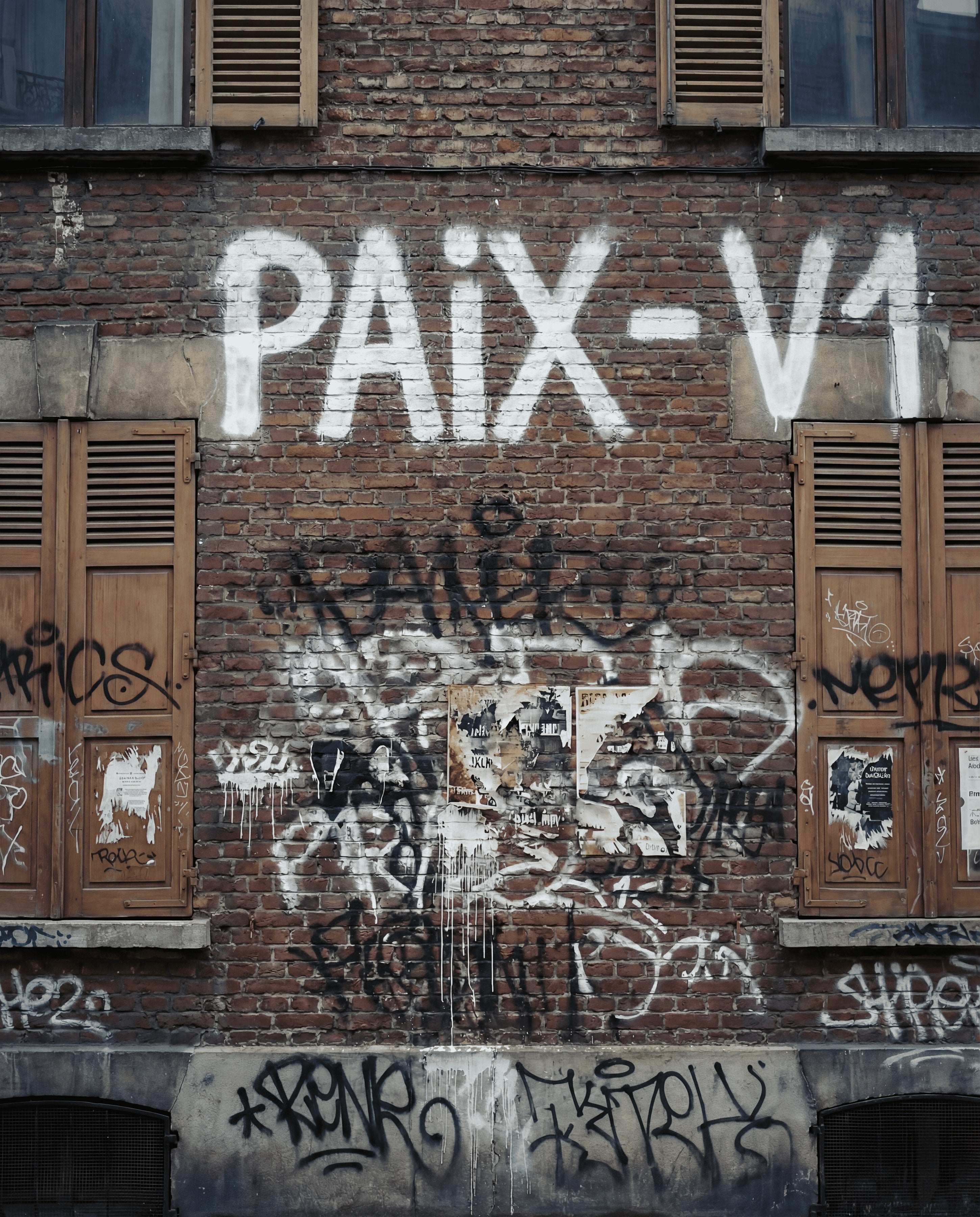 PAIX-V1